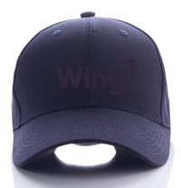 Thumbnail for WING DRONE CAP